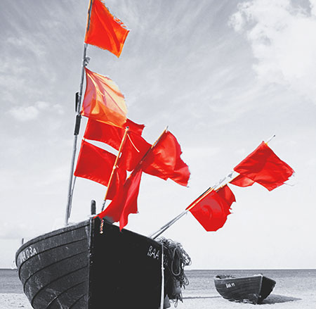 Red flags of translation shopping